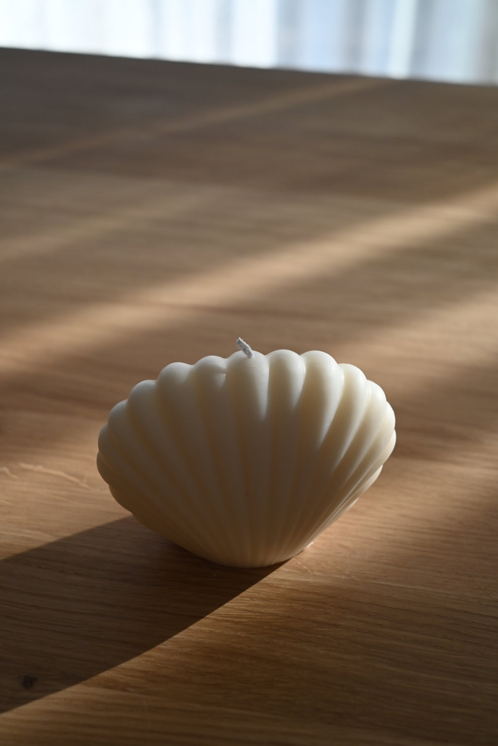 Muschelkerze