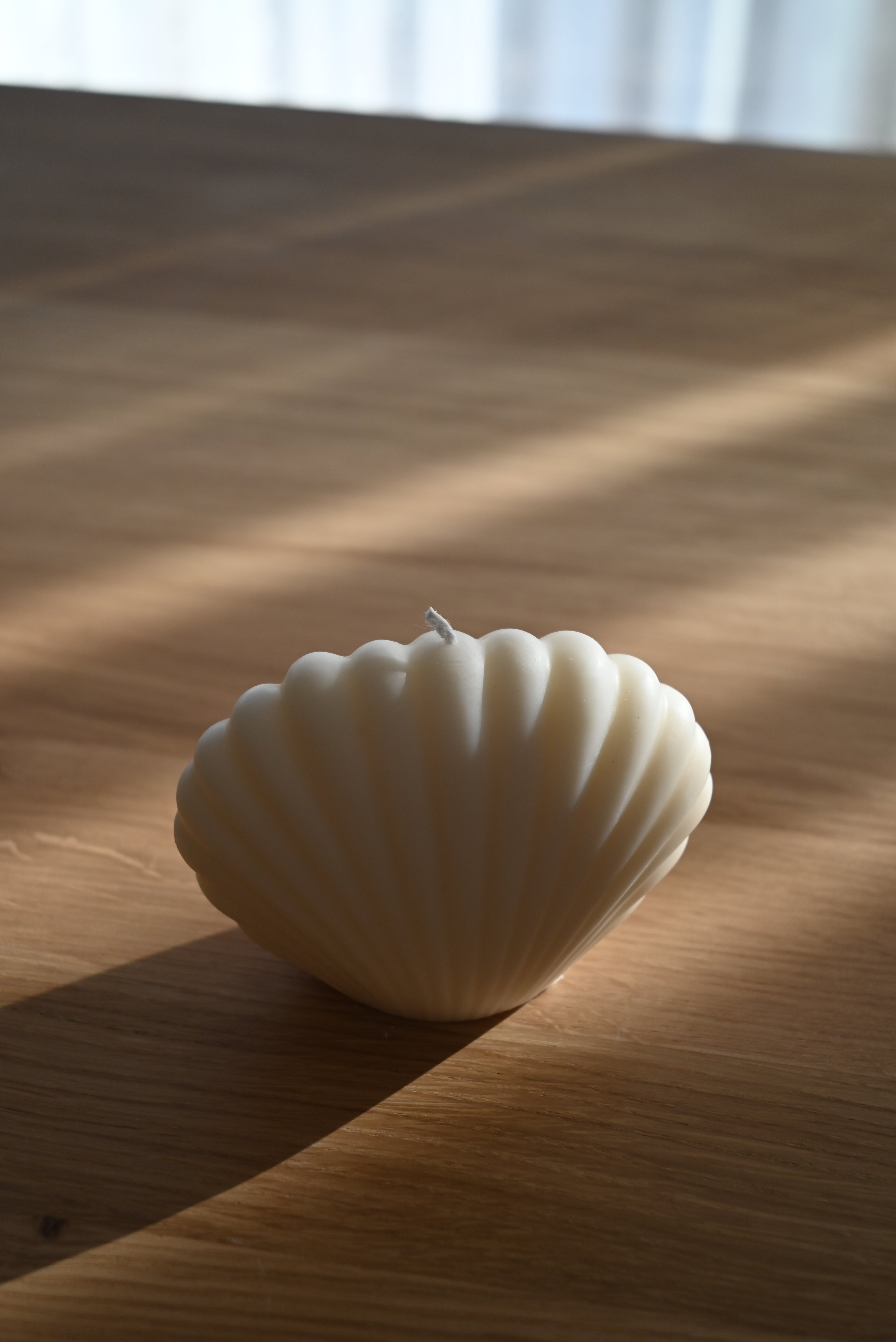 Muschelkerze