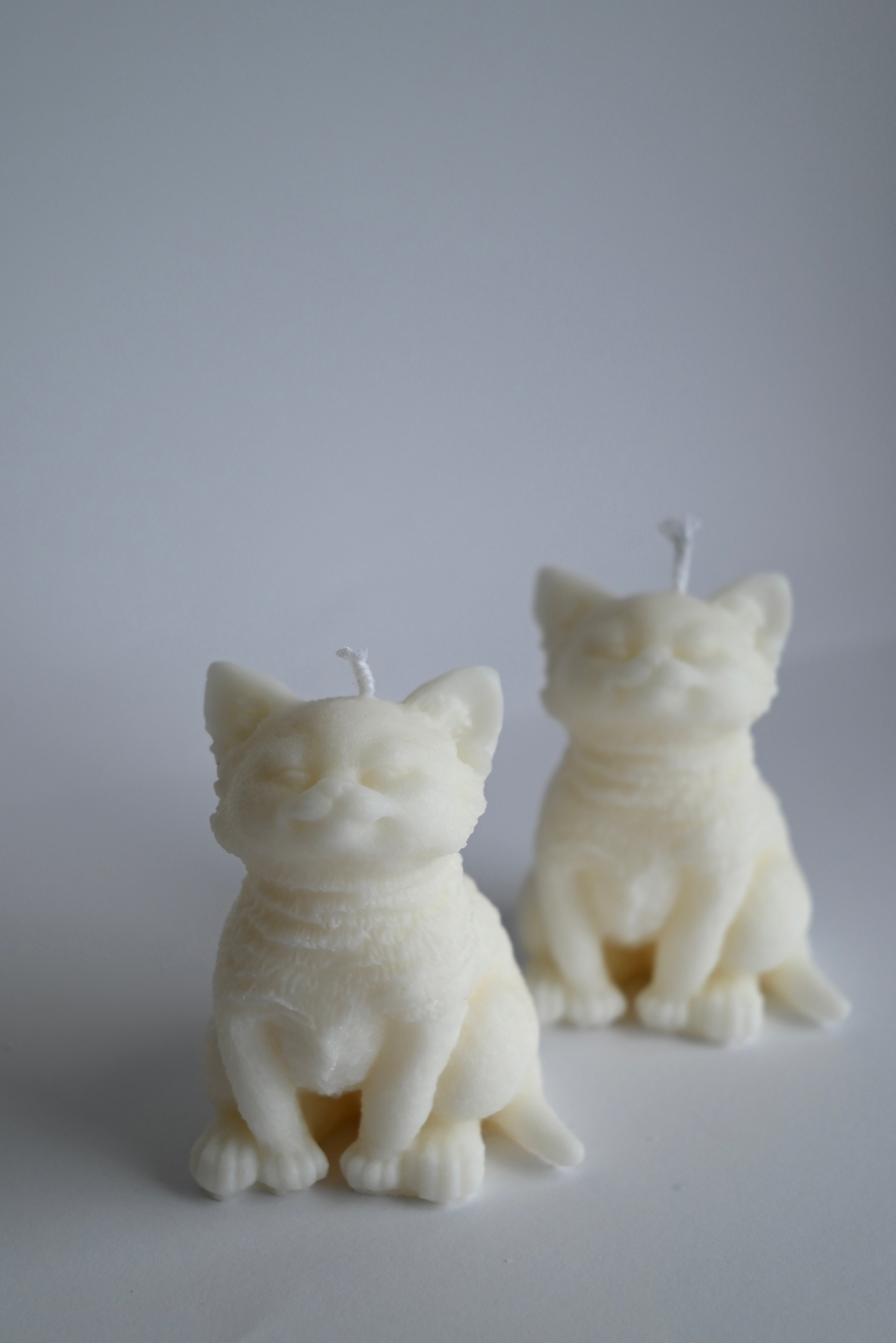 Katze