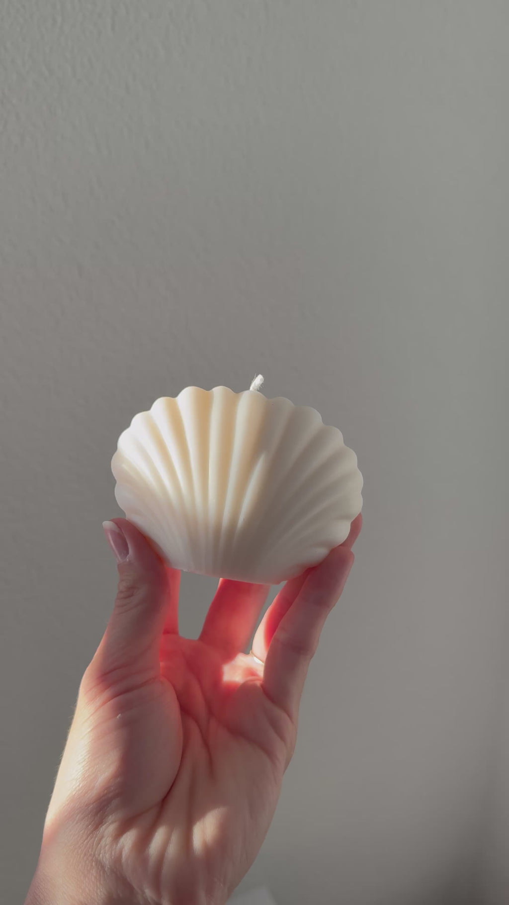 Muschelkerze