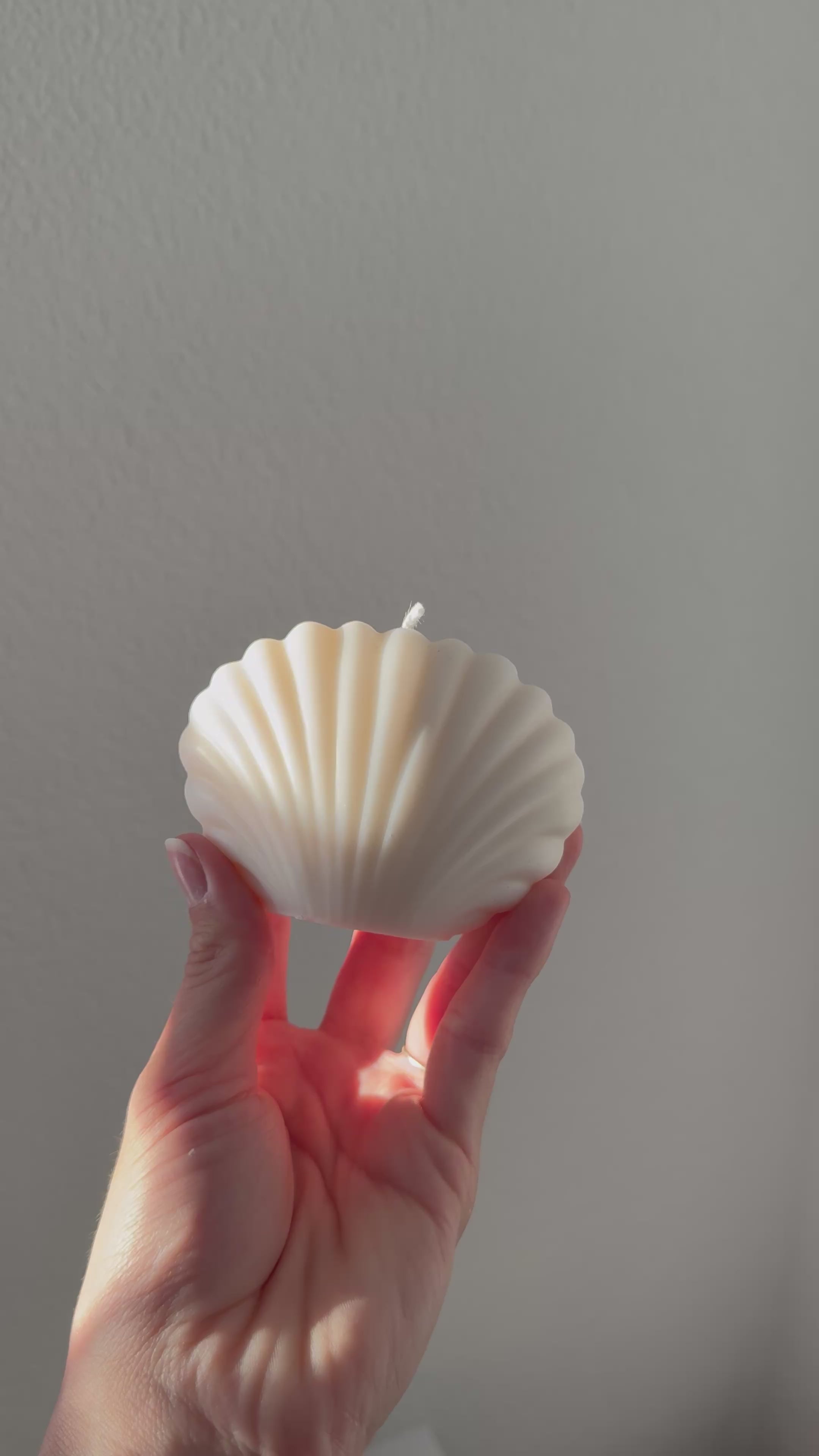 Muschelkerze
